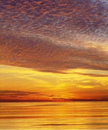 Picture of CA, SAN DIEGO SUNSET CLIFFS BY THE OCEAN,SUNSET