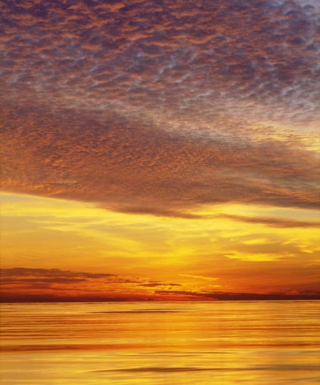 Picture of CA, SAN DIEGO SUNSET CLIFFS BY THE OCEAN,SUNSET