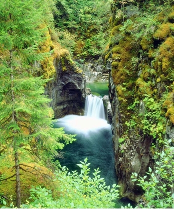 Picture of CANADA, BC WATERFALL ON LITTLE QUALICUM RIVER
