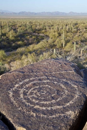 Picture of ARIZONA, SAGUARO NP HOHOKAM INDIAN PETROGLYPH