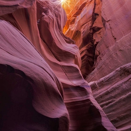 Picture of ARIZONA, CANYON X FORMATION IN SANDSTONE ROCK