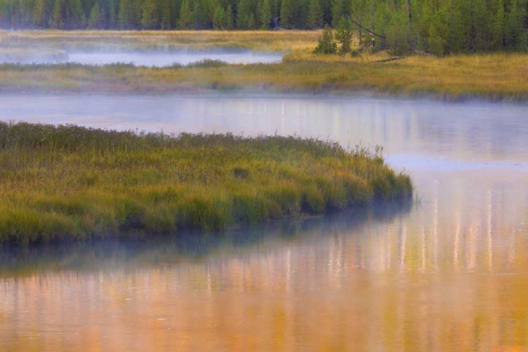 Picture of WYOMING, YELLOWSTONE MORNING AT MADISON RIVER