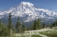 Picture of WASHINGTON AVALANCHE LILIES AND MOUNT RAINIER