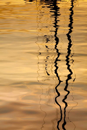 Picture of WASHINGTON SAILBOAT MAST REFLECTION AT SUNSET