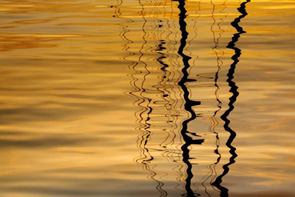 Picture of WASHINGTON SAILBOAT MAST REFLECTION AT SUNSET