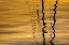 Picture of WASHINGTON SAILBOAT MAST REFLECTION AT SUNSET