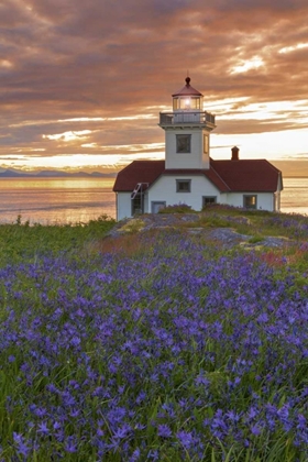 Picture of WASHINGTON, SAN JUAN ISLANDS PATOS LIGHTHOUSE