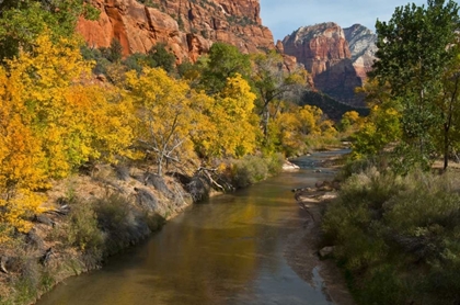 Picture of UT, ZION NP ZION CANYON AND VIRGIN RIVER