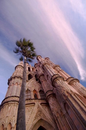 Picture of MEXICO, THE PARROQUIA CHURCH AND PALM TREE