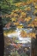 Picture of USA, NEW HAMPSHIRE, STREAM AND FALL FOLIAGE