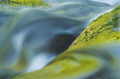 Picture of USA, OREGON WATER FLOW OVER ROCKS IN CREEK