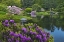 Picture of MAINE, NORTHEAST HARBOR GARDEN POND SCENIC