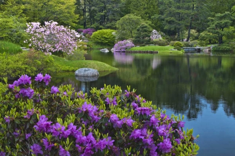 Picture of MAINE, NORTHEAST HARBOR GARDEN POND SCENIC