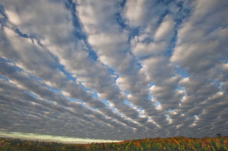 Picture of MICHIGAN CLOUDS OVER PETES LAKE IN AUTUMN