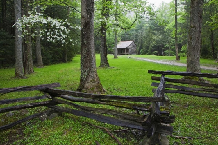 Picture of TN, GREAT SMOKY MTS FENCE AND ABANDONED CABIN