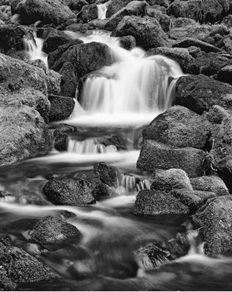 Picture of OR, THREE SISTERS WILDERNESS AREA PROXY FALLS