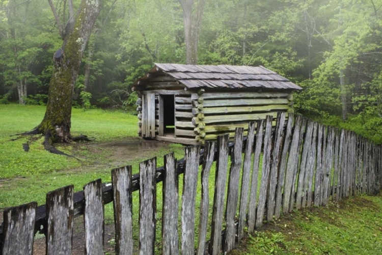 Picture of TN, GREAT SMOKY MTS FENCE AND ABANDONED CABIN