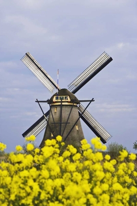 Picture of NETHERLANDS, KINDERDIJK WINDMILL WITH FLOWERS