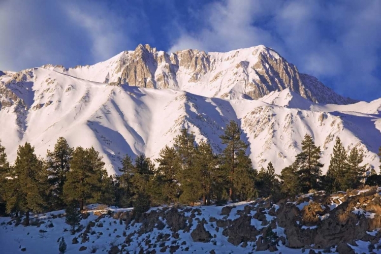 Picture of CA, SIERRA NEVADA MT MORGAN SEEN FROM A ROAD