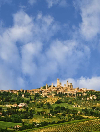 Picture of VINEYARDS AND HILLTOP TOWN SAN GIMIGNANO, ITALY