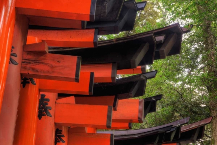 Picture of JAPAN, KYOTO, FUSHIMI-INARI-TAISHA TORII GATES