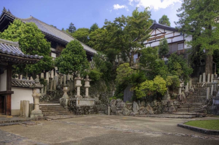 Picture of JAPAN, NARA, NARA PARK VIEW OF BUDDHIST TEMPLE