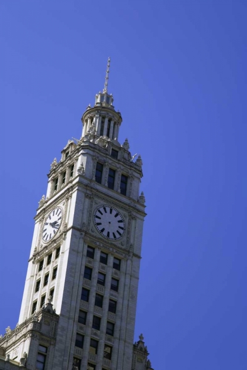 Picture of USA, ILLINOIS, CHICAGO TOP OF WRIGLEY BUILDING