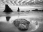Picture of USA, OREGON, BANDON BEACH SUNSET ON SEA STACKS