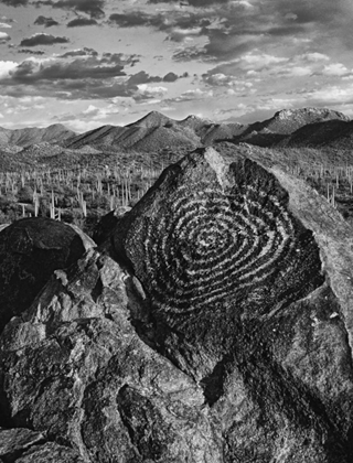 Picture of ARIZONA, SAGUARO NP PETROGLYPHS ON SIGNAL HILL