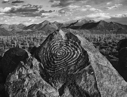 Picture of ARIZONA, SAGUARO NP PETROGLYPHS ON SIGNAL HILL