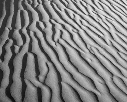 Picture of CALIFORNIA, DEATH VALLEY NP SAND DUNE PATTERNS