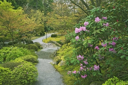 Picture of WASHINGTON, SEATTLE PATH THROUGH A GARDEN PARK