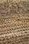 Picture of JAPAN, NARA PREFECTURE, HEGURI-CHO DRYING RICE