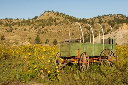 Picture of SD, WILD HORSE SANCTUARY VINTAGE WAGON