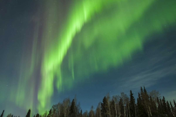 Picture of USA, ALASKA AURORA BOREALIS OVER FOREST