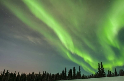 Picture of USA, ALASKA AURORA BOREALIS OVER FOREST