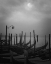 Picture of EUROPE, ITALY, VENICE MOORED GONDOLAS AND FOG