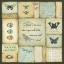 Picture of FAITH IS THE BIRD