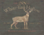 Picture of WHITE TAIL HOLLOW