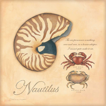 Picture of NAUTILUS