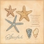Picture of STARFISH