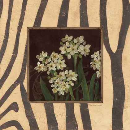 Picture of PAPERWHITES I