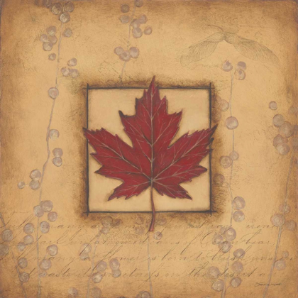 Picture of MAPLE LEAF