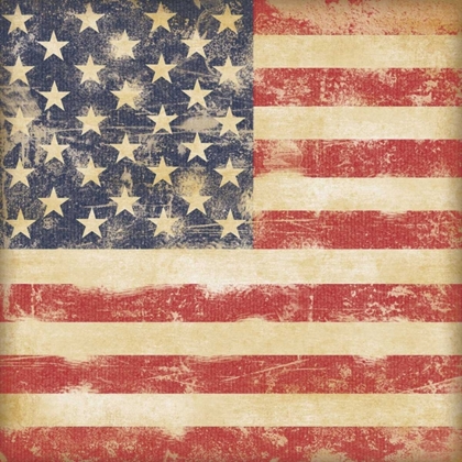 Picture of USA FLAG