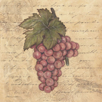 Picture of GRAPES II