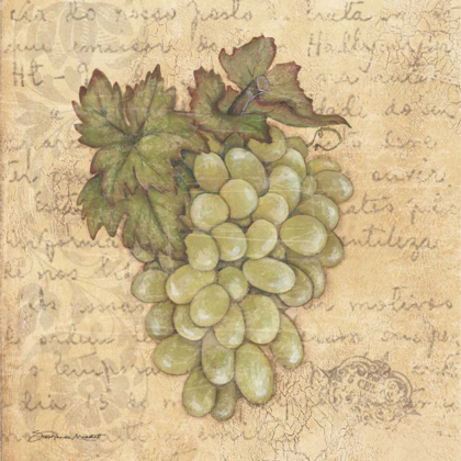 Picture of GRAPES IV