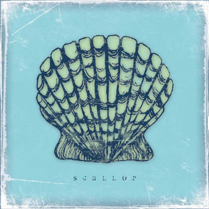 Picture of SCALLOP