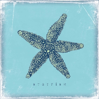 Picture of STARFISH