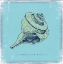 Picture of WHELK
