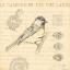 Picture of BIRD IV
